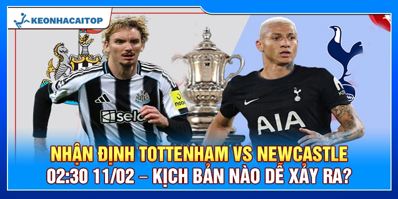Nhận Định Tottenham Vs Newcastle 02:30 11/02 – Kịch Bản Nào Dễ Xảy Ra?