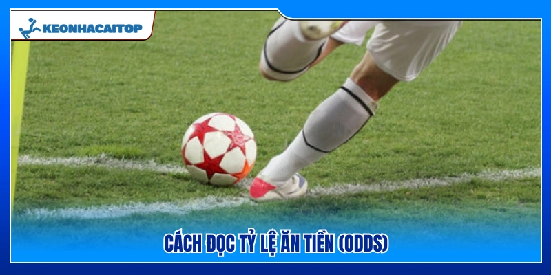 Cách hiểu các chỉ số thanh toán trong kèo phạt góc